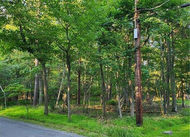 Property at Pine Tr Ln, Tobyhanna Twp, PA 18346