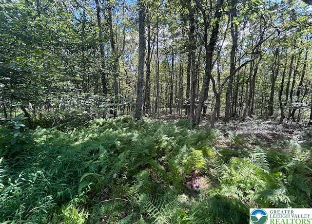 Property at Lot 20alas Piney Woods Dr, Penn Forest Twp, PA 18229