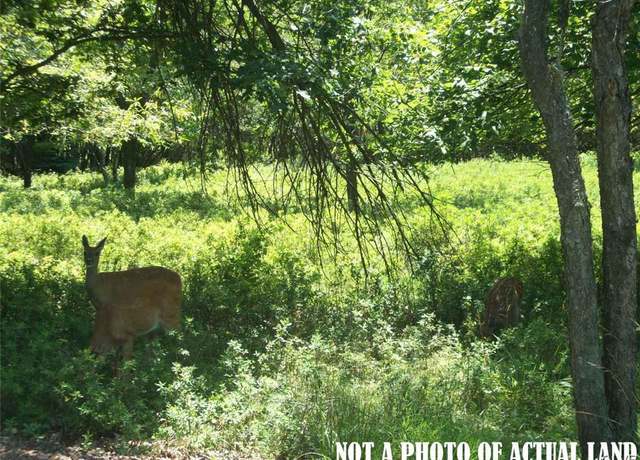 Property at Pecos Ter, Tunkhannock Township, PA 18210