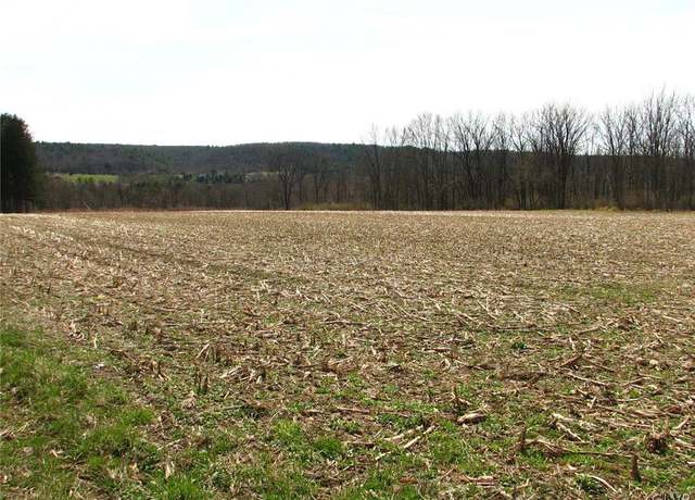Property at 0 Fredericks Grove Rd, Mahoning Twp, PA 18235
