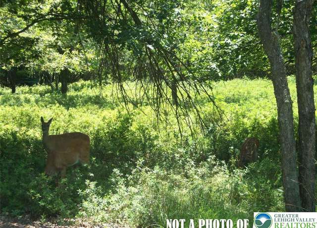 Property at S Spring Valley Rd, Williams Twp, PA 18042