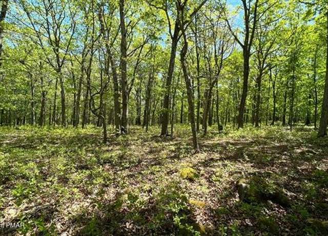 Property at Lot 151 Bear Dr, Pike County, PA 18324