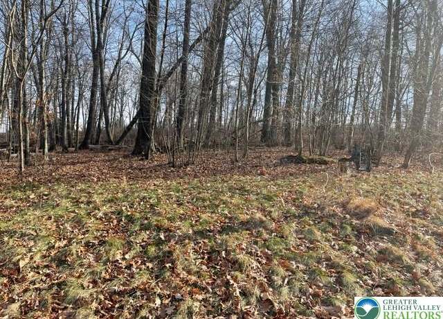 Property at 81 Shepherds Hill Dr Lot 9, Upper Mt Bethel Twp, PA 18343