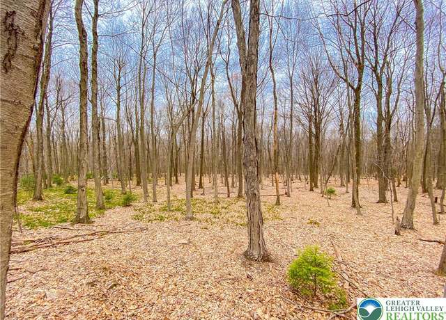 Property at Hoffman Rd Lot 5, East Penn Township, PA 18235
