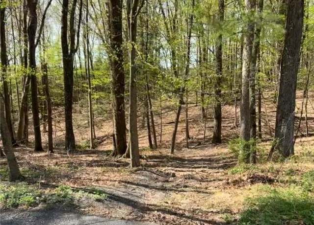 Property at Tiger Lilly Ln, Chestnuthill Twp, PA 18353