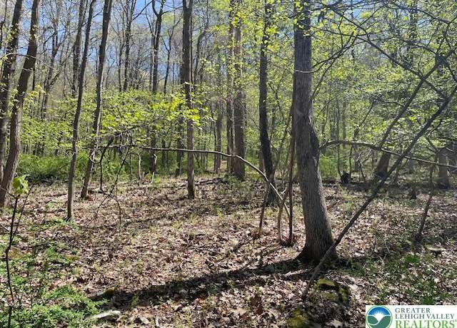 Property at 23 Hemlock Rd, Eldred Twp, PA 18058