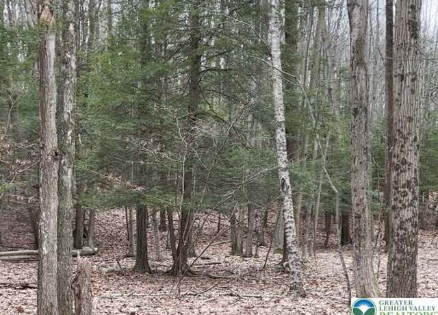 Property at 153 Pine Tree Dr, Paradise Twp, PA 18326