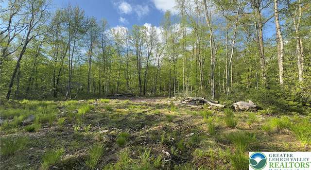 Photo of Butternut & Mahogany Rd, Penn Forest Twp, PA 18229