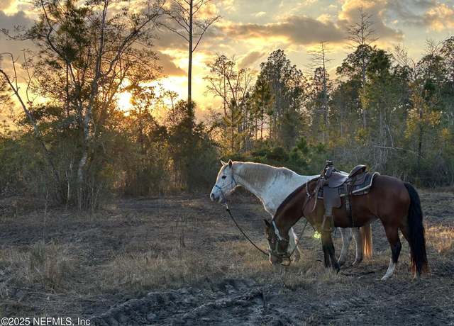 Property at 5261 LOT E Oscar Ashton Rd, St. Augustine, FL 32092