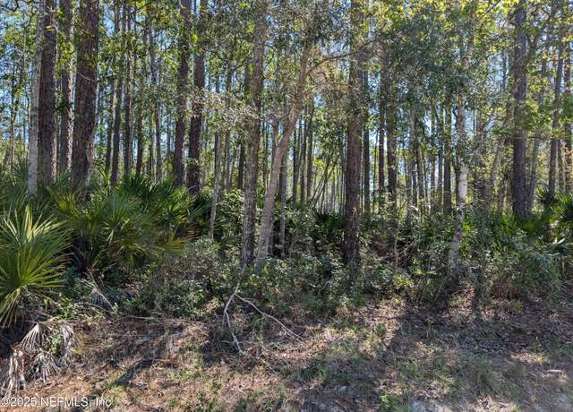Property at LOT 37 Dines Ave, Interlachen, FL 32148