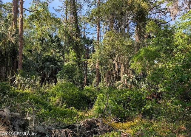 Property at 0 000 Carol Ave, Crescent City, FL 32112