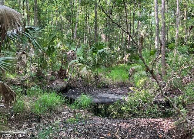 Property at 00 Little Branch Trl, Interlachen, FL 32148