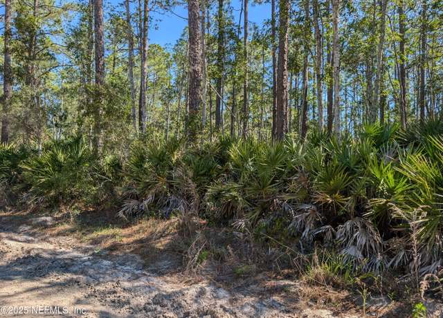 Property at LOT 36 Dines Ave, Interlachen, FL 32148