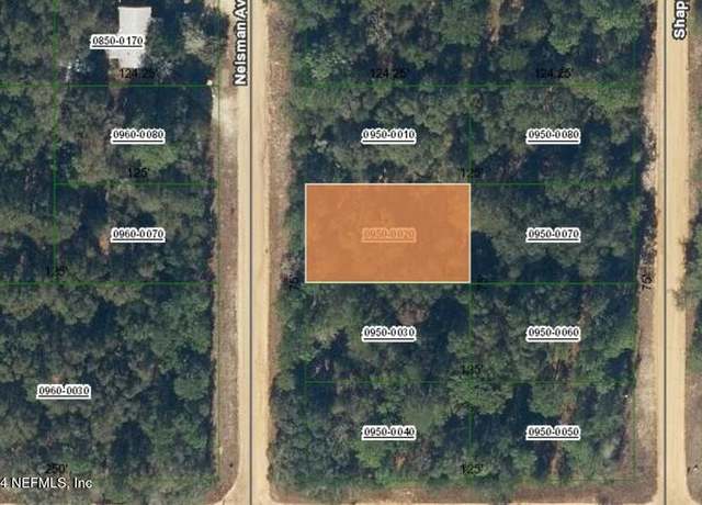 Property at 00000 Nelsman Ave, Interlachen, FL 32148