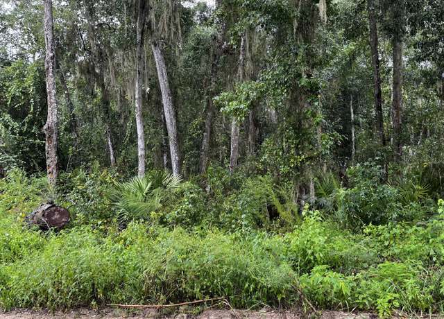 Property at 0 Woodlawn Rd, Satsuma, FL 32189
