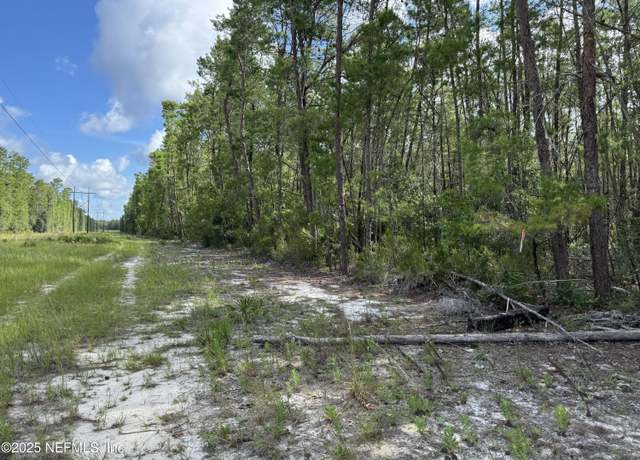 Property at 0 Hankley Lake Trl, Hawthorne, FL 32640