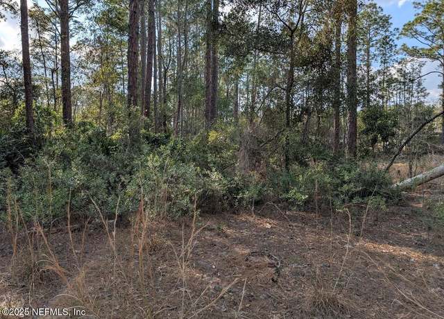 Property at 327 Wayburn St, Georgetown, FL 32139