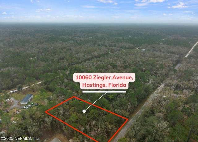 Property at 10060 Zigler Ave, Hastings, FL 32145