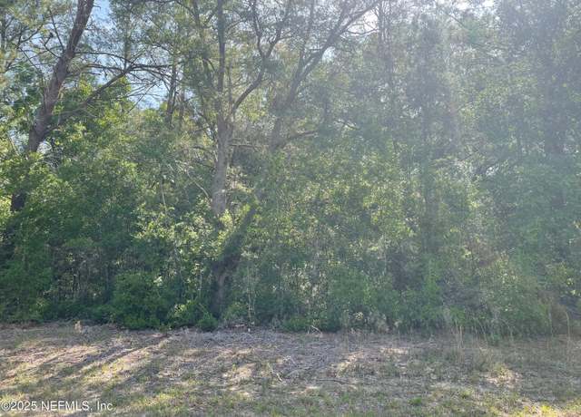 Property at 0 Scott Rd, Florahome, FL 32140
