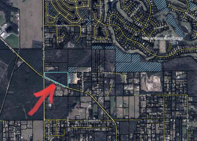 Property at 3725 Co Rd 315a, Green Cove Springs, FL 32043