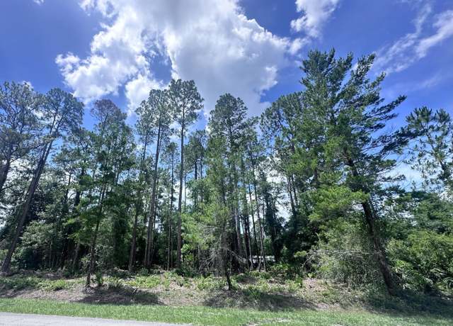 Property at 107 Georgetown Point Rd Rd, Georgetown, FL 32139