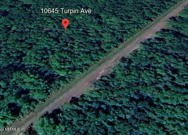 Property at 10645 Turpin Ave, Hastings, FL 32145