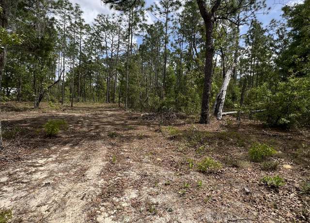 Property at 110 Slipper Way, Hawthorne, FL 32640