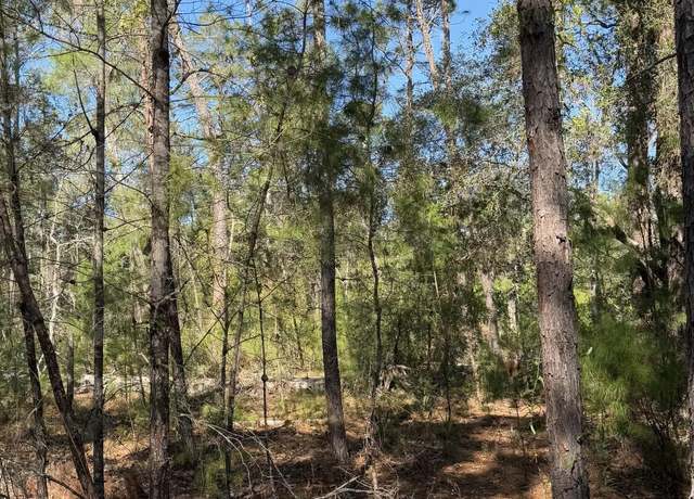 Property at 206 Utah St, Satsuma, FL 32189