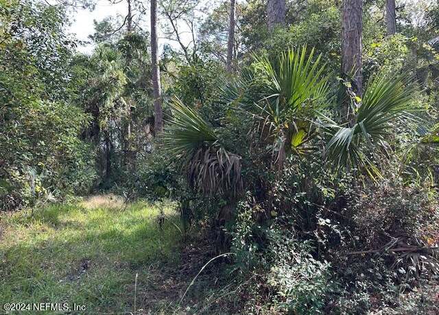 Property at 000 Pine St, Welaka, FL 32193