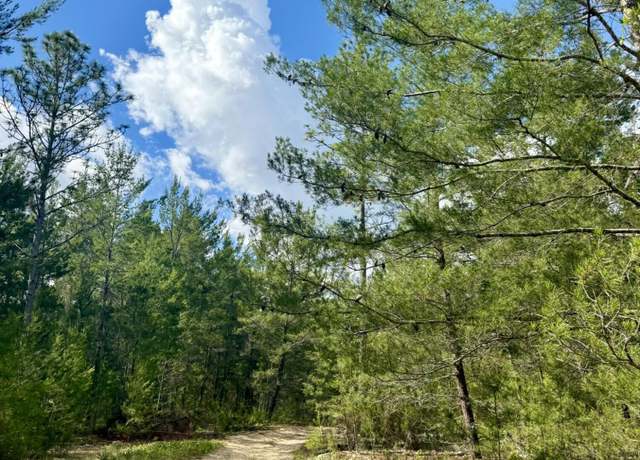 Property at 269 Alabama Dr, Hawthorne, FL 32640