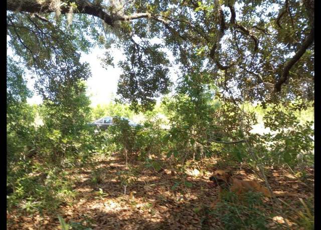 Property at 304 Ridge Rd, Satsuma, FL 32189