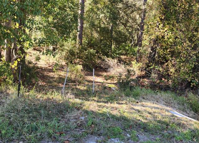 Property at 2757+2759 S Highway 17, Crescent City, FL 32112