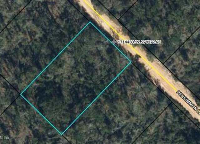Property at TBD Persimmon Ln, Marianna, FL 32246