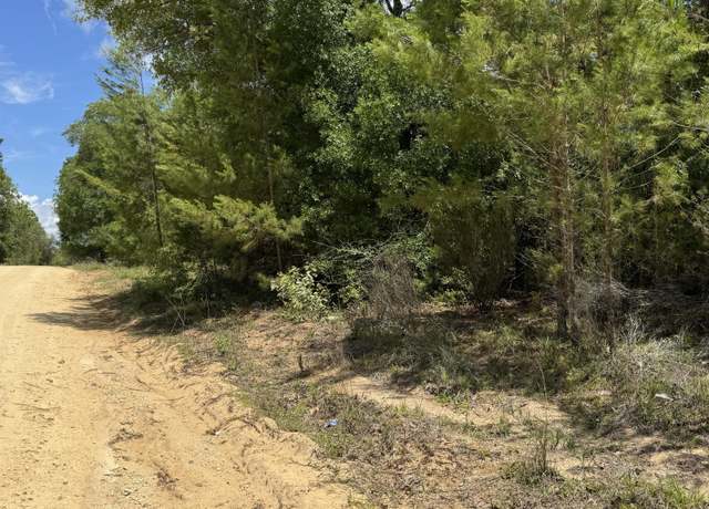 Property at 000 Cardinal St, Interlachen, FL 32148