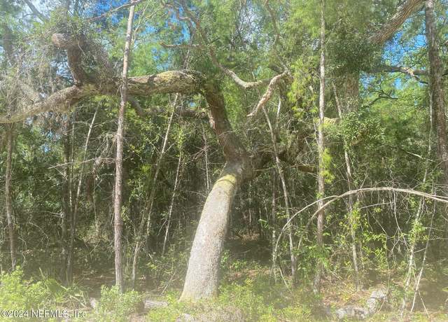 Property at TBD Robin Rd, Palatka, FL 32177
