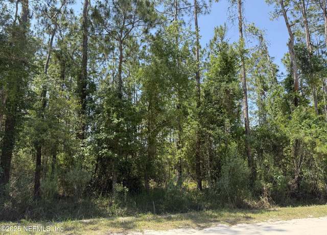 Property at 109 White Pine Ln, Georgetown, FL 32139