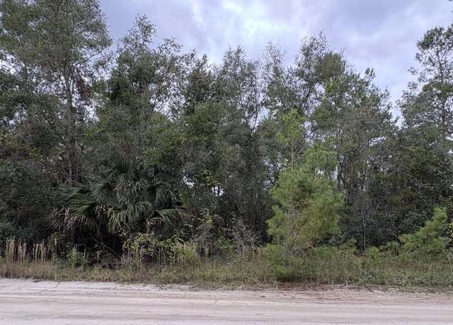 Property at 105 Pleasant Dr, Crescent City, FL 32112