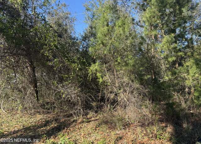 Property at 220 Idaho St, Satsuma, FL 32189