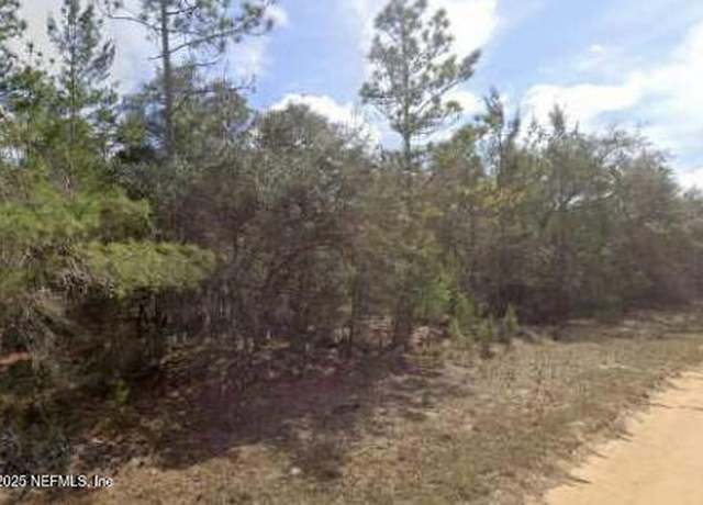 Property at 0000 Brett Ave, Interlachen, FL 32148