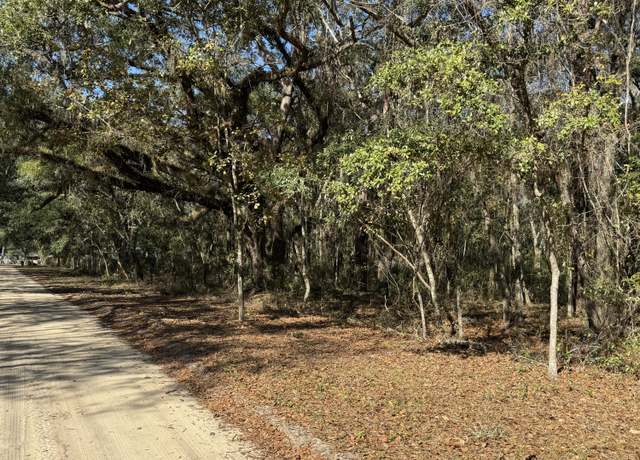Property at 0 Chestnut Rd, Hawthorne, FL 32640