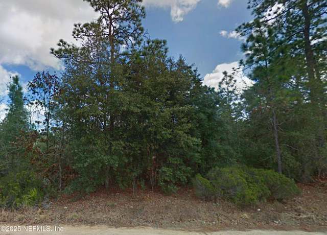 Property at 114 Dave St, Interlachen, FL 32148
