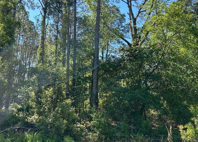 Property at LOT 32 Rhonda Ave, Interlachen, FL 32148