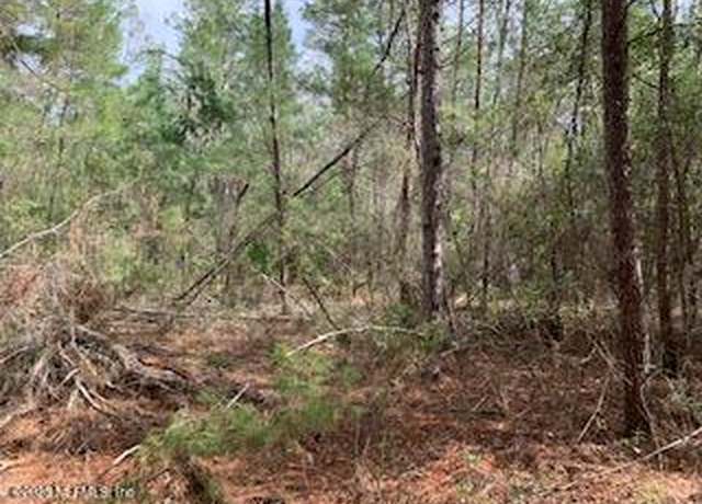 Property at 00 SE 4th Ave, Interlachen, FL 32148