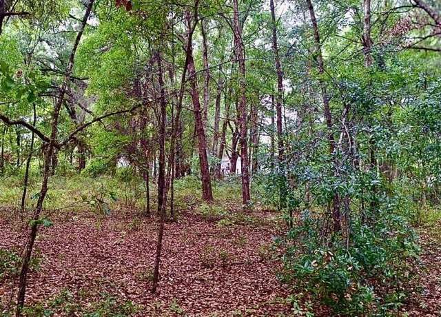 Property at LOT 13 Evans Ave, Interlachen, FL 32148