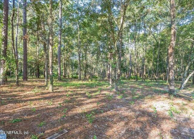 Property at 4843 Alligator Blvd, Middleburg, FL 32068