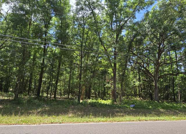 Property at 0 Branscomb Rd, Green Cove Springs, FL 32043