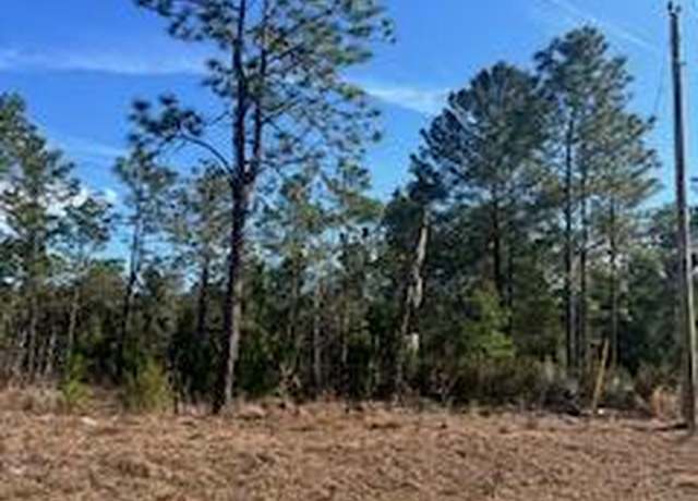 Property at 204 Flamingo Dr, Interlachen, FL 32148