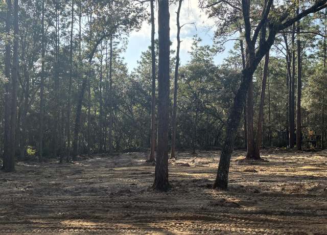 Property at 409 Edgehill Rd, Satsuma, FL 32189