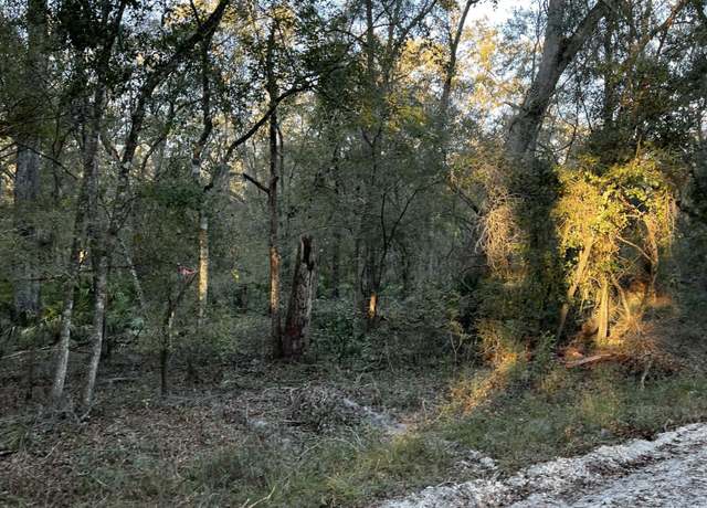 Property at LOT 14/15 292nd St, Branford, FL 32008