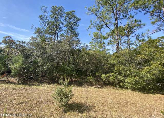 Property at 103 Dolphin Dr, Georgetown, FL 32139